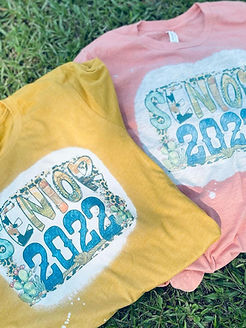 479923_066737189b07431c9dbace013be6de70~mv2 (1)