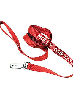 479923_50304bdbff784b659a9545b64209f72e~mv2